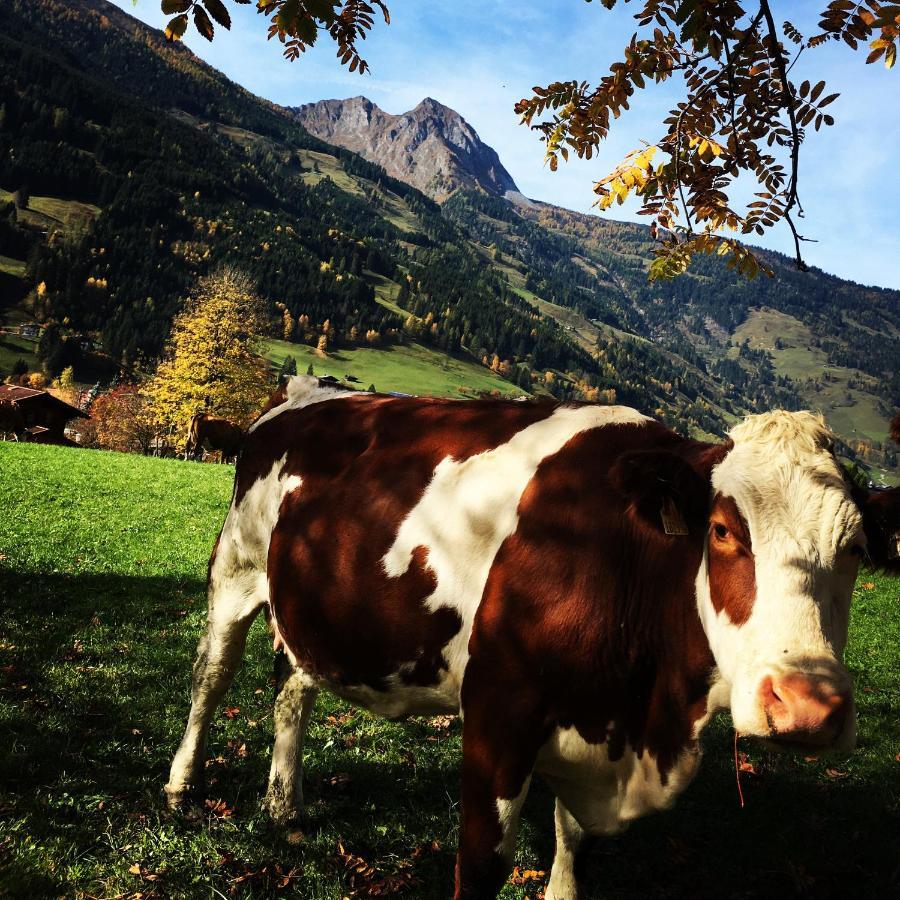 Willa Chalet Franzi - Ferienhaus Fuer Die Ganze Familie Im Gasteinertal Dorfgastein Zewnętrze zdjęcie