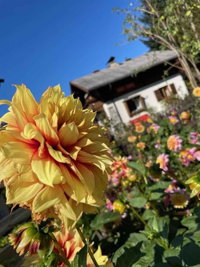 Willa Chalet Franzi - Ferienhaus Fuer Die Ganze Familie Im Gasteinertal Dorfgastein Zewnętrze zdjęcie