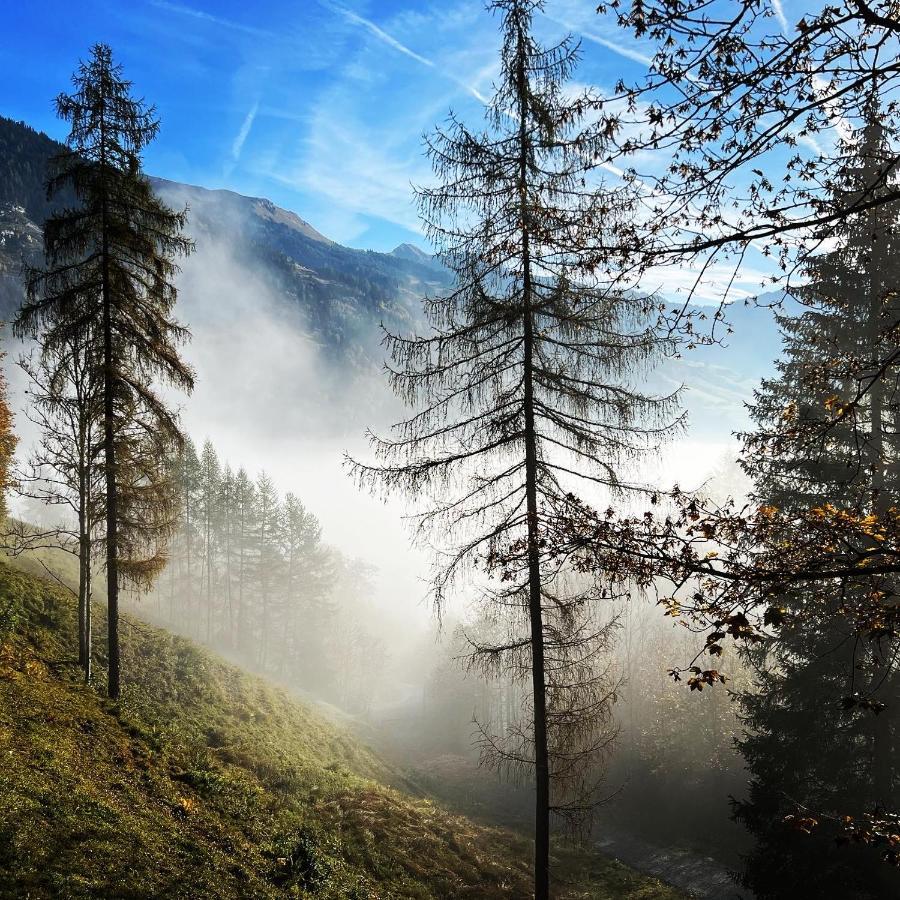 Willa Chalet Franzi - Ferienhaus Fuer Die Ganze Familie Im Gasteinertal Dorfgastein Zewnętrze zdjęcie