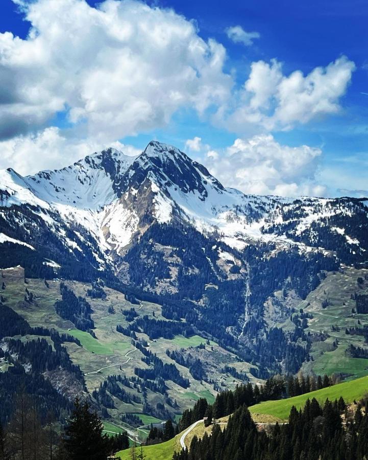 Willa Chalet Franzi - Ferienhaus Fuer Die Ganze Familie Im Gasteinertal Dorfgastein Zewnętrze zdjęcie